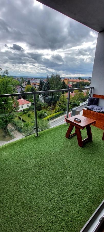 Nowoczesny Z Widokiem Na Park