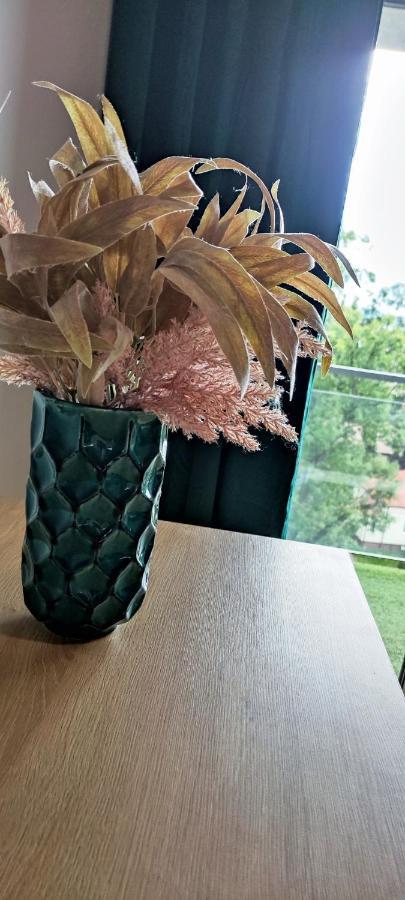 Apartment Nowoczesny Z Widokiem Na Park Rzeszow
