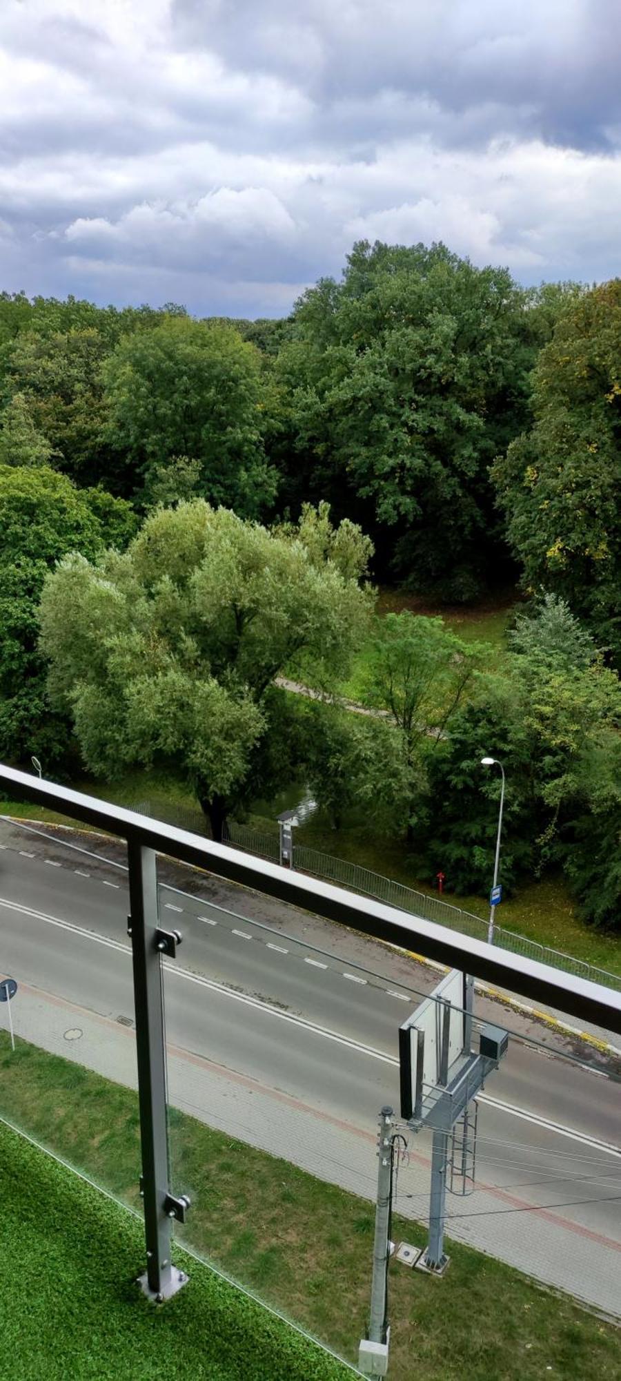 Nowoczesny Z Widokiem Na Park