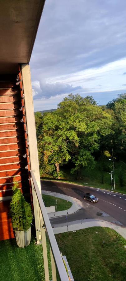 Nowoczesny Z Widokiem Na Park * Rzeszow